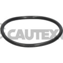 Junta, termostato CAUTEX/FACET 952036