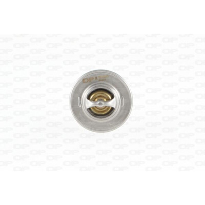 Termostato, refrigerante OPEN PARTS TRM1002.00