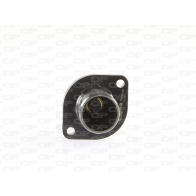 Termostato, refrigerante OPEN PARTS TRM1069.00