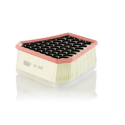 Filtro de ar MANN-FILTER C 26 065