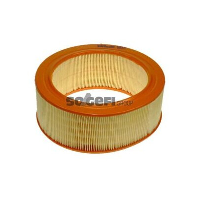 Filtro de ar PURFLUX A278