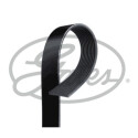 Correia em V GATES 10PK1350HD V-poly