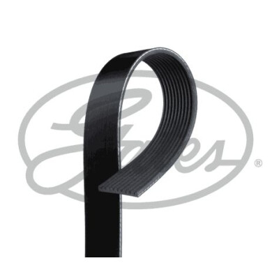 Correia em V GATES V-poly 10PK1580HD