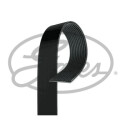 Correia em V GATES V-poly 11PK2871HD