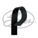 Correia em V GATES V-poly 12PK1878HD