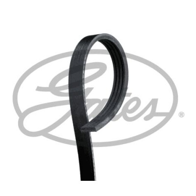 Correia em V GATES V-poly 4PK1008HD