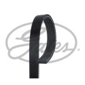 Correia em V GATES V-poly 5PK1260HD