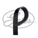 Correia em V GATES V-poly 7PK1570HD