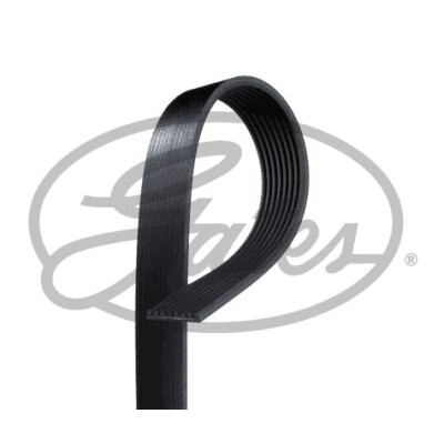 Correia em V GATES V-poly 8PK1610HD