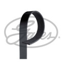 Correia em V GATES V-poly 9PK1425AHD
