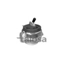 Suporte, motor TALOSA 61-06639