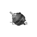 Suporte, motor TALOSA 61-06683