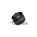 Suporte, motor TALOSA 61-06685