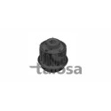 Suporte, motor TALOSA 61-09455