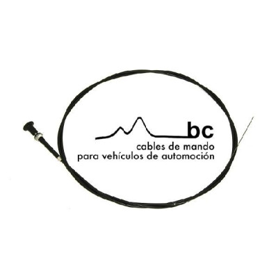 Cabo do starter