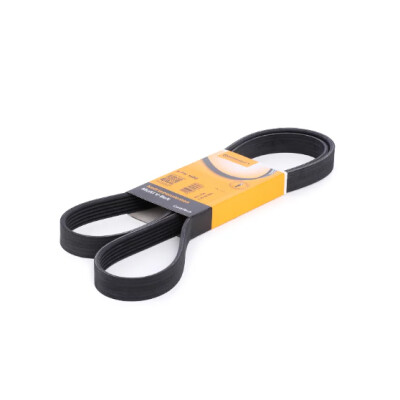 Correia V-poli V ContiTech 6 PK 1580