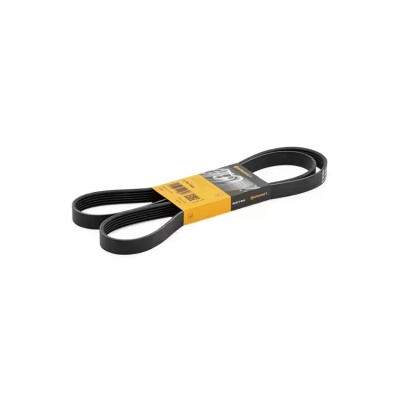 Correia V-poli V ContiTech 6 PK 1642