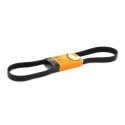 Correia V-poli V ContiTech 5 PK 1355