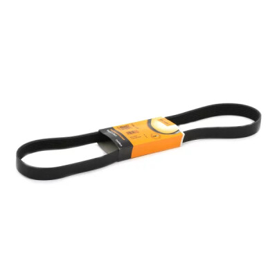 Correia V-poli V ContiTech 5 PK 1355