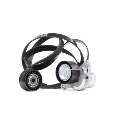 Conjunto de correias em V nervuradas DAYCO KPV224