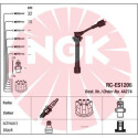 Jogo de cabos de ignição