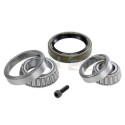 Kit de rolamento de roda SNR R151.24