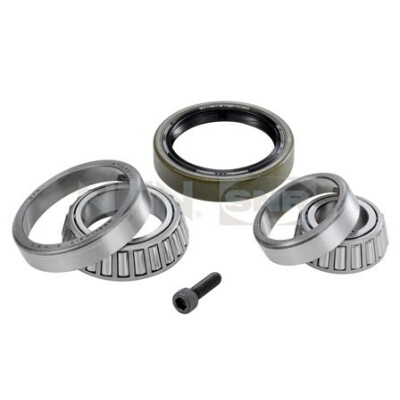 Kit de rolamento de roda SNR R151.24