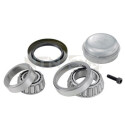 Kit de rolamento de roda SNR R151.36S