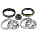 Kit de rolamento de roda SNR R152.16
