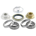 Kit de rolamento de roda SNR R152.37S