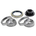 Kit de rolamento de roda SNR R152.64