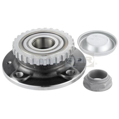 Kit de rolamento de roda SNR R166.29