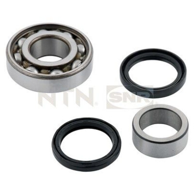 Kit de rolamento de roda SNR R177.13