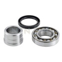 Kit de rolamento de roda SNR R177.23