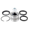 Kit de rolamento de roda SNR R181.10