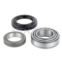 Kit de rolamento de roda SNR R186.25