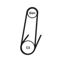 Correia poli V CONTINENTAL CTAM 4PK592 ELAST