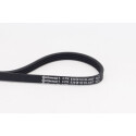 Correia poli V CONTINENTAL CTAM 4PK830 ELAST