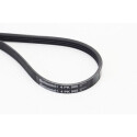 Correia poli V CONTINENTAL CTAM 4PK905