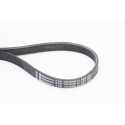 Correia poli V CONTINENTAL CTAM 5PK705 ELAST