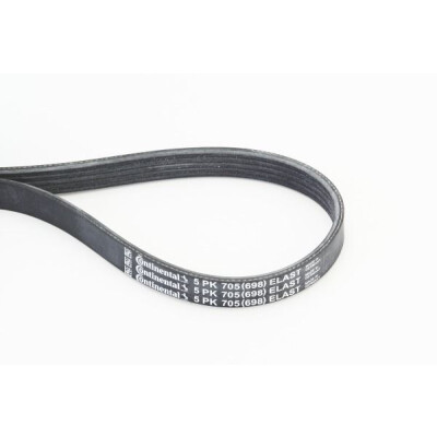 Correia poli V CONTINENTAL CTAM 5PK705 ELAST