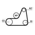 Correia poli V CONTINENTAL CTAM 6PK1042 ELAST