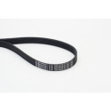 Correia poli V CONTINENTAL CTAM 6PK1059 ELAST