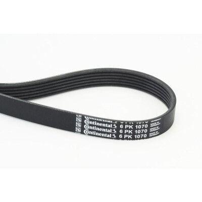 Correia em V CONTINENTAL CTAM V-poli 6PK1070