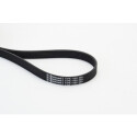 Correia estriada em V CONTINENTAL CTAM 6PK1120