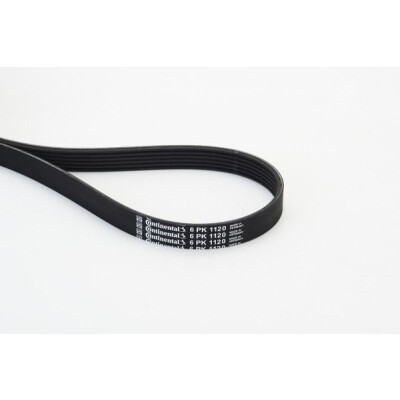 Correia estriada em V CONTINENTAL CTAM 6PK1120