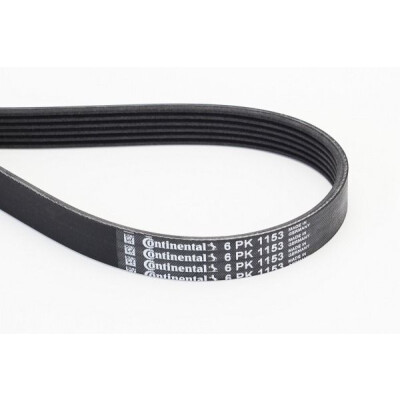 Correia em V CONTINENTAL CTAM V-poli 6PK1153