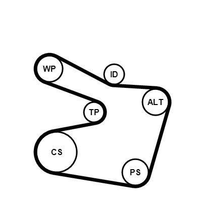 Conjunto de cintos com nervuras em V CONTINENTAL CTAM 6PK1538K2
