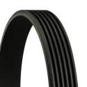 Correia estriada em V CONTINENTAL CTAM 6PK1750