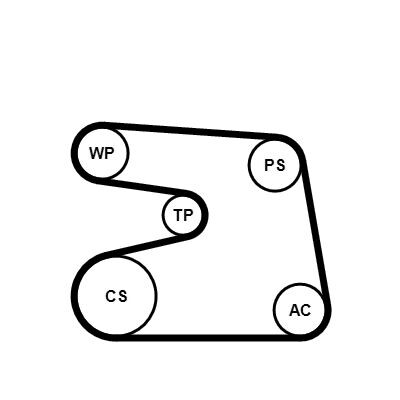 Conjunto de correias com nervuras em V Continental CTAM 6PK1873K4
